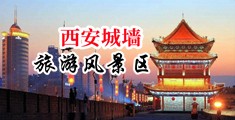 樱花影院啪啪啪中国陕西-西安城墙旅游风景区